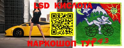 PSILOCYBIN Малоярославец