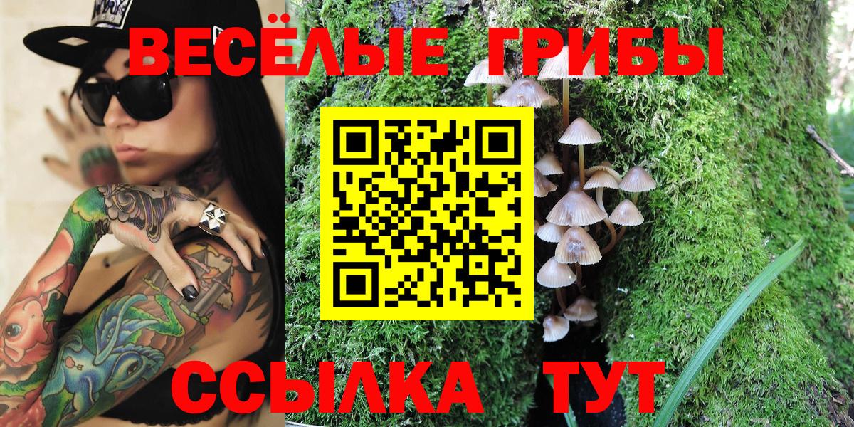 Галлюциногенные грибы прущие грибы  Вход с VPN  Солнечногорск 
