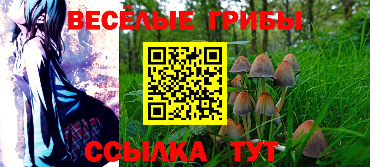 Псилоцибиновые грибы Magic Shrooms Солнечногорск