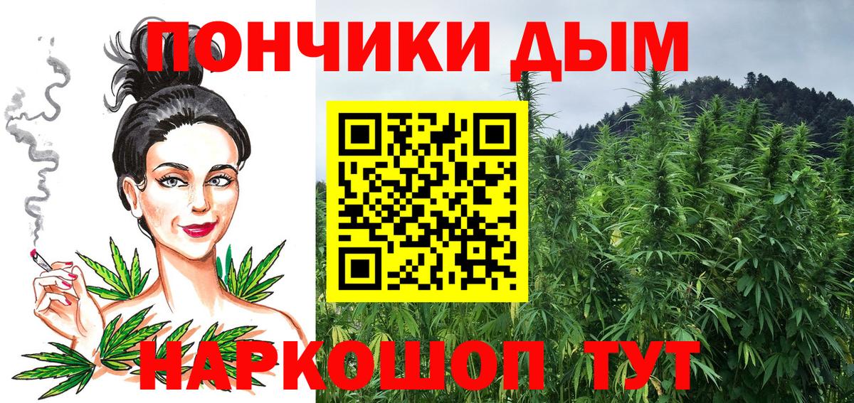 Бошки Шишки MAZAR  Вход с VPN  Солнечногорск  МАРИХУАНА тримм  Конопля White Widow 